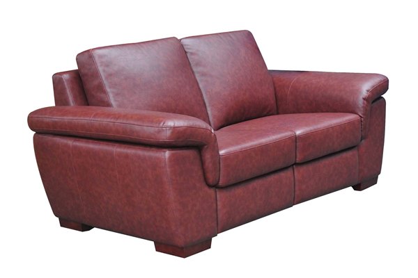 ergocliner4